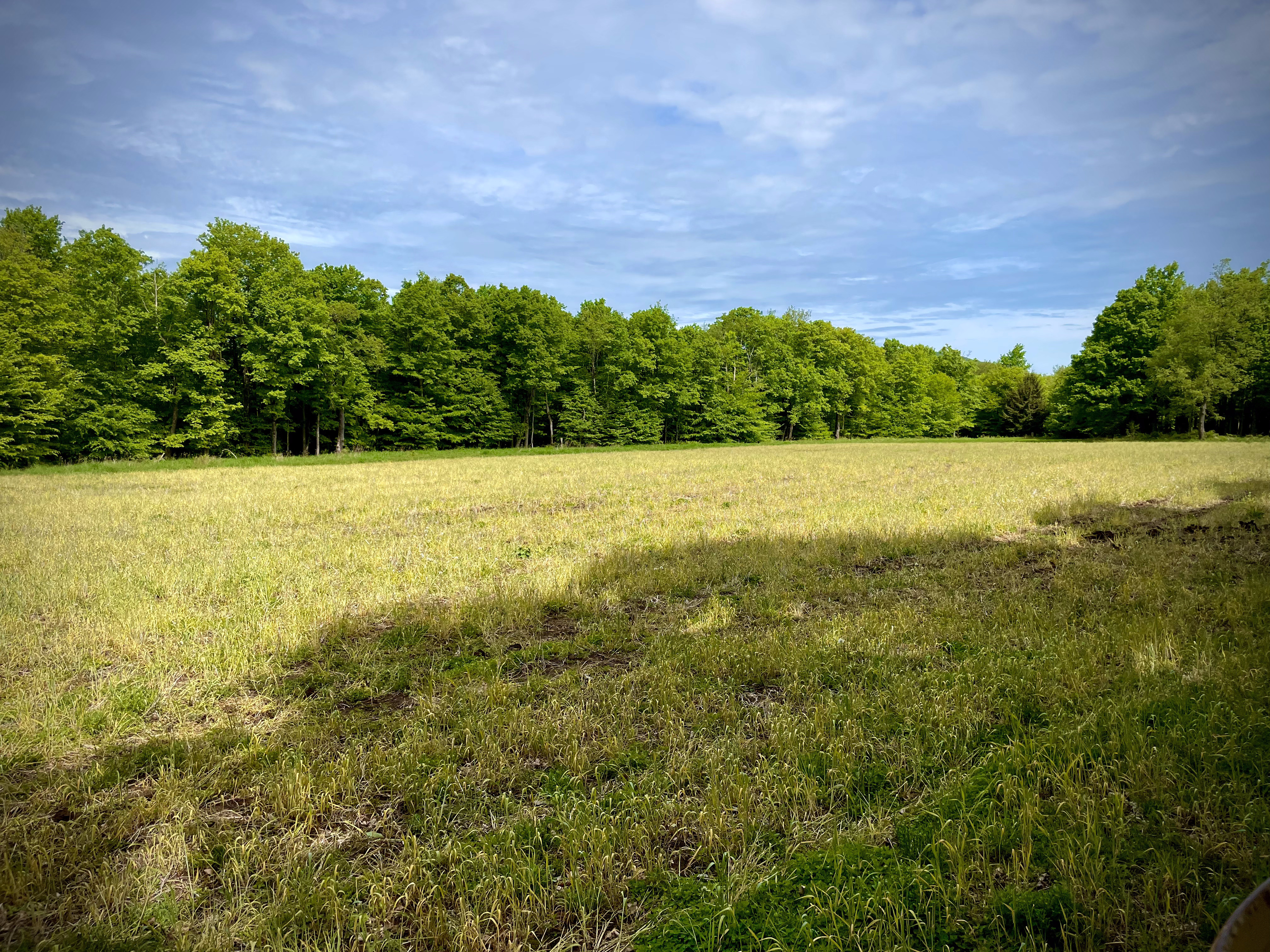 Food Plots